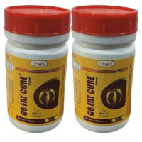 Go Fat Cure Churan 100g Ayurvedic Herbal Remedy for Healthy Weight Management (Pack of 2)